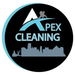 APEX CLEANING